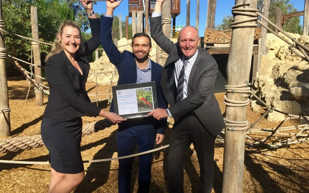 Cahoots Cultural Camps coming to the SouthWest!