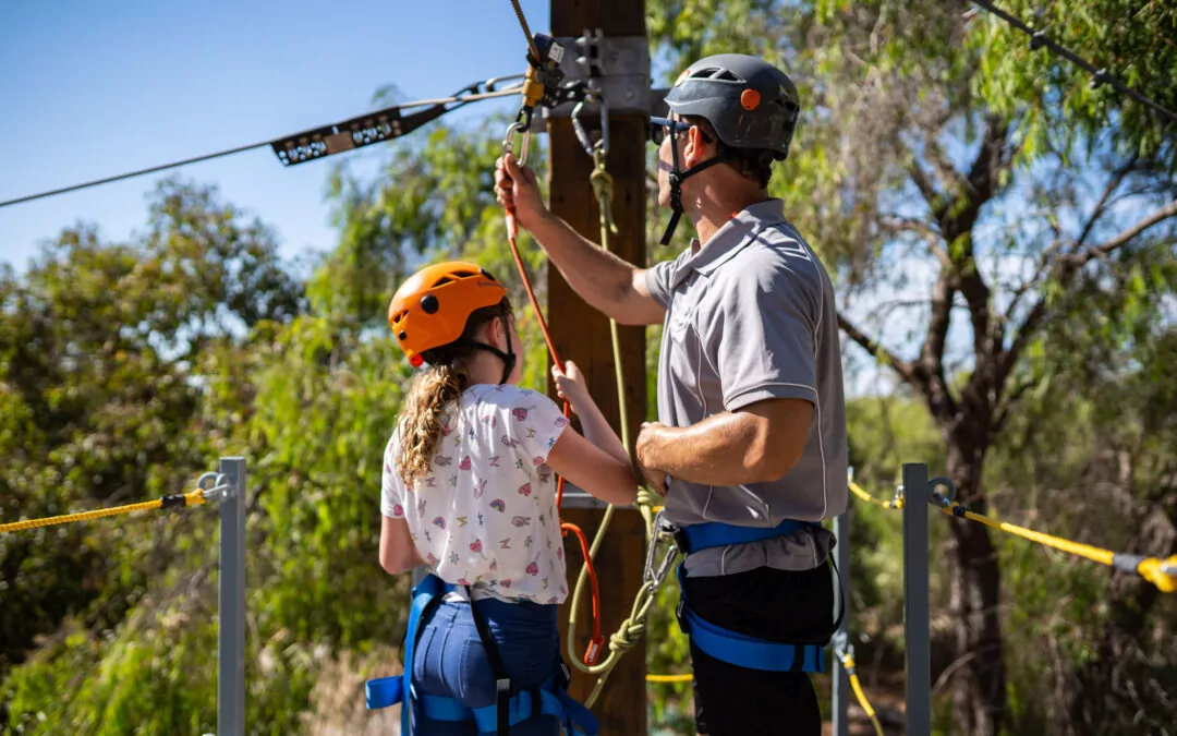 High Ropes Climbing is Back for Summer